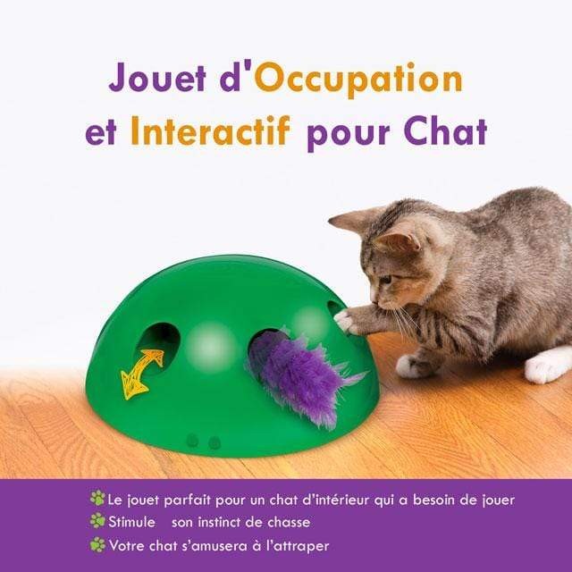 KITTYBOO™ : Jouet d'occupation et interactif pour chat