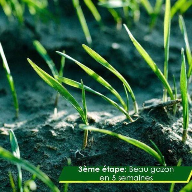 BIOMAT™ : Tapis de Graines Biodegradable (3 métres)